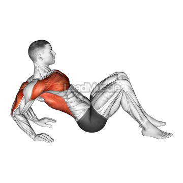 Triceps Dip Stretch