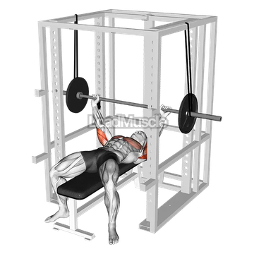 Barbell Reverse Band Bench Press