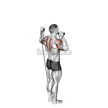 Band Behind Neck Shoulder Press