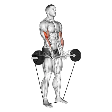 Band EZ Barbell Close grip Curl