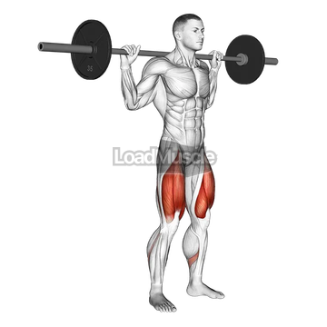Barbell Quarter Squat