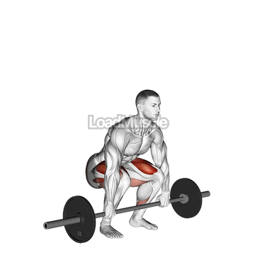 Barbell Clean Deadlift