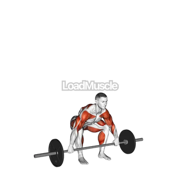 Barbell Muscle Snatch