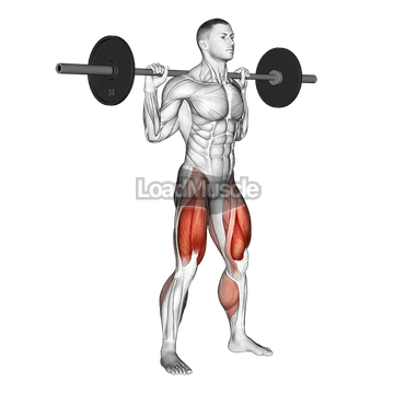 Barbell Olympic Squat