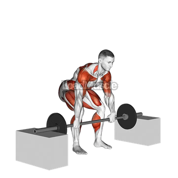 Barbell Power Clean from Blocks