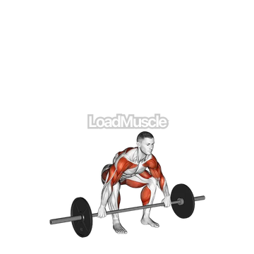 Barbell Power Snatch