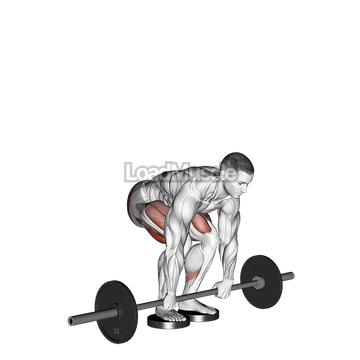 Barbell Romanian Deadlift From Deficit
