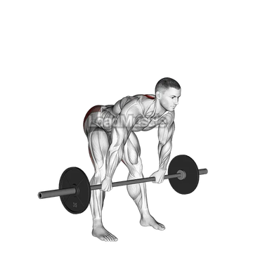 Barbell Wide Stance Stiff Leg Deadlift