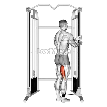 Cable Standing Leg Curl