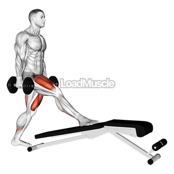 Dumbbell Decline Bench Lunge
