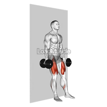 Dumbbell Wall Squat