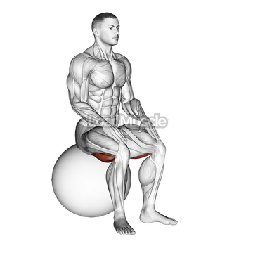 Exercise Ball Seated Hamstring Stretch