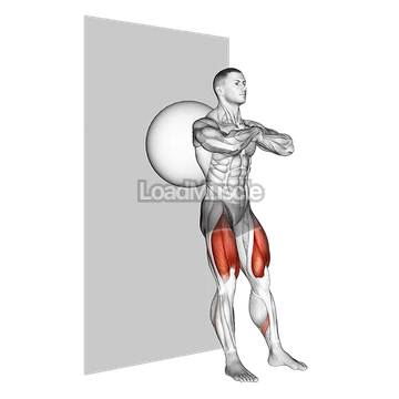 Exercise Ball Wall Squat