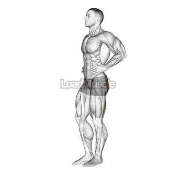 Front Back Leg Raises