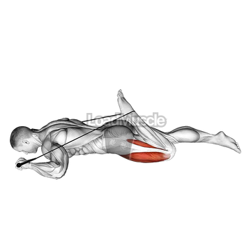 Intermediate Hip Flexor and Quad Stretch