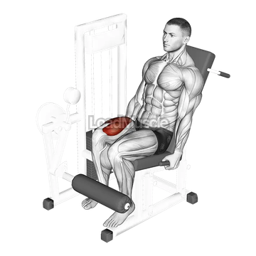 Lever One Leg Extension