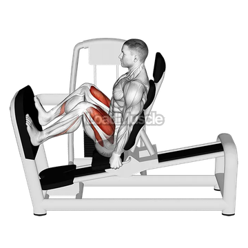 Lever Seated Wide Squat