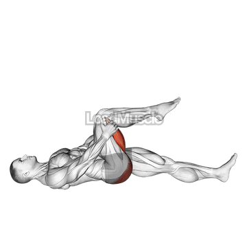 Leg Up Hamstring Stretch