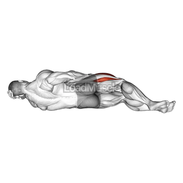 Lying Hip Flexor