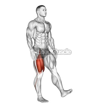 One Leg Quarter Squat