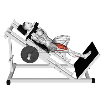 Sled One Leg Hack Squat