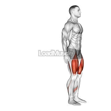 Bodyweight Rear Lunge