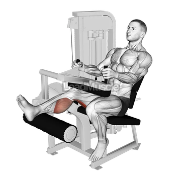 Lever Seated One Leg Curl