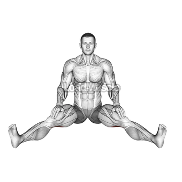 Seated Wide Angle Pose Sequence