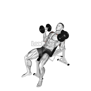 Dumbbell Palms In Incline Bench Press