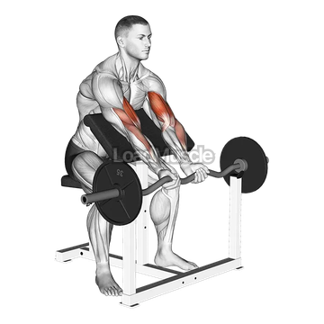 EZ Barbell Close Grip Preacher Curl