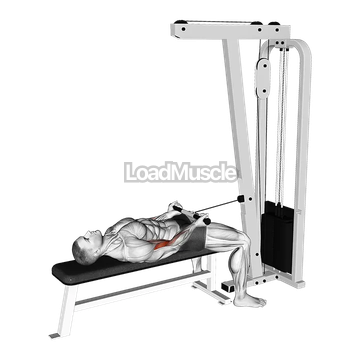 Cable Lying Bicep Curl