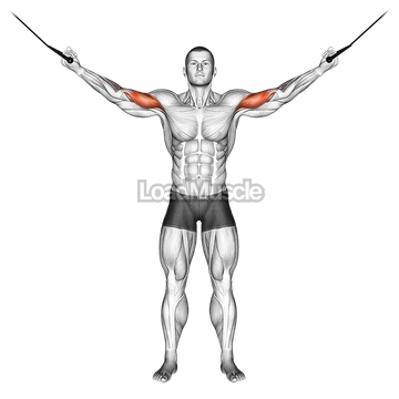 Cable Overhead Curl