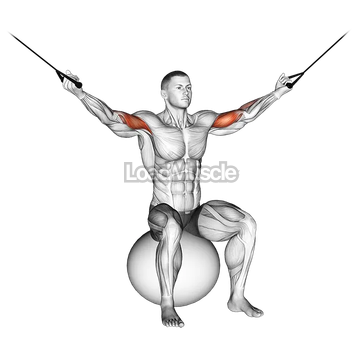 Cable Overhead Curl on Exercise Ball