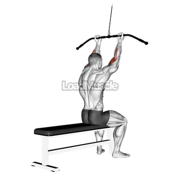 Cable Pulldown Bicep Curl