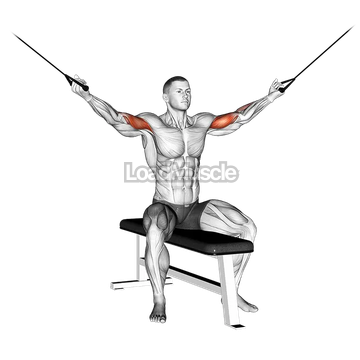 Cable Seated Overhead Curl