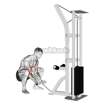 Cable Squatting Curl