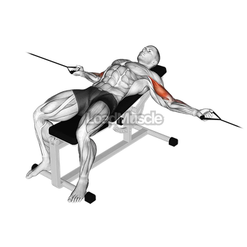 Cable Two Arm Curl on Incline Bench