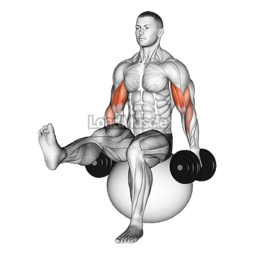 Dumbbell Bicep Curl on Exercise Ball with Leg Raised