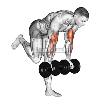 Dumbbell Bicep Curl With Stork Stance