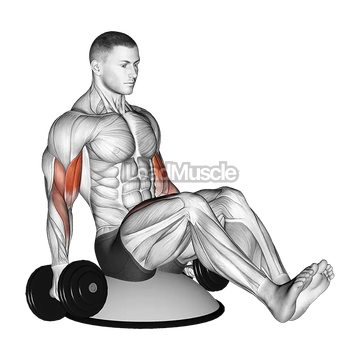 Dumbbell Biceps Curl V Sit on Bosu Ball