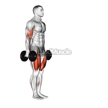 Dumbbell Lunge with Bicep Curl