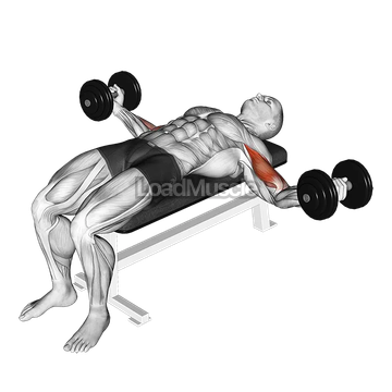 Dumbbell Lying Wide Curl