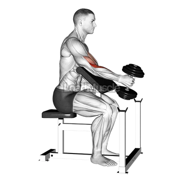 Dumbbell One Arm Hammer Preacher Curl