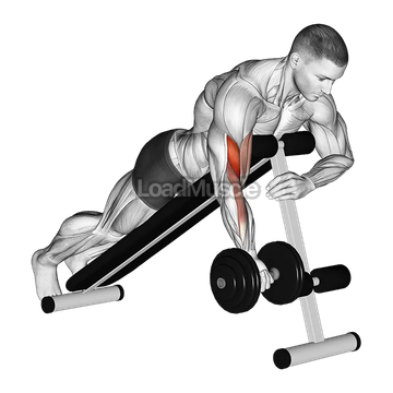 Dumbbell One Arm Prone Curl