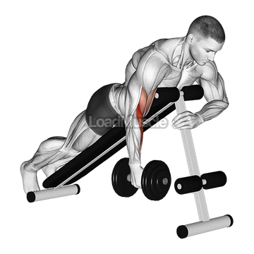 Dumbbell One Arm Prone Hammer Curl