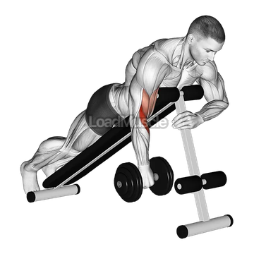 Dumbbell One Arm Reverse Spider Curl