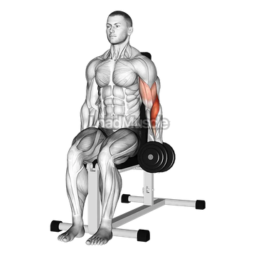 Dumbbell One Arm Seated Hammer Curl