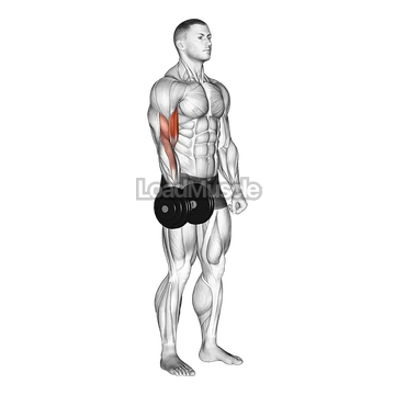 Dumbbell One Arm Standing Curl