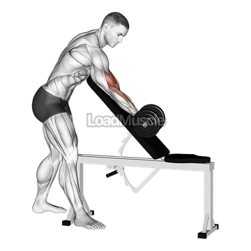 Dumbbell One Arm Zottman Preacher Curl