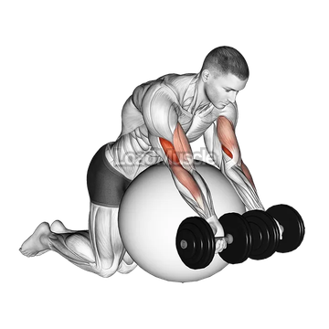 Dumbbell Preacher Curl over Exercise Ball